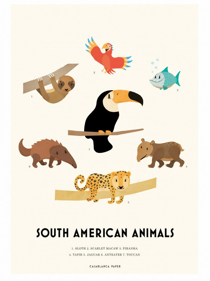 South American Animals