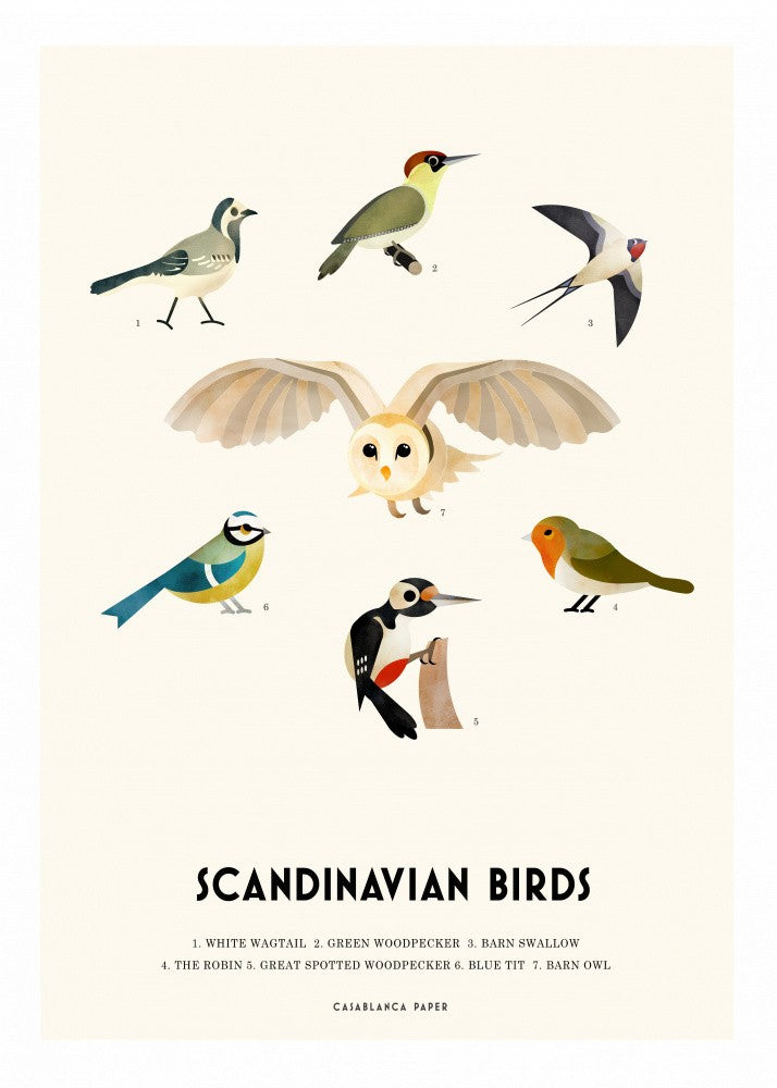 Scandinavian Birds