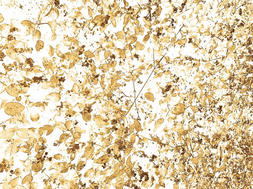 Golden Leaves Dance