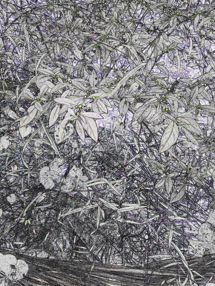 Entangled Foliage