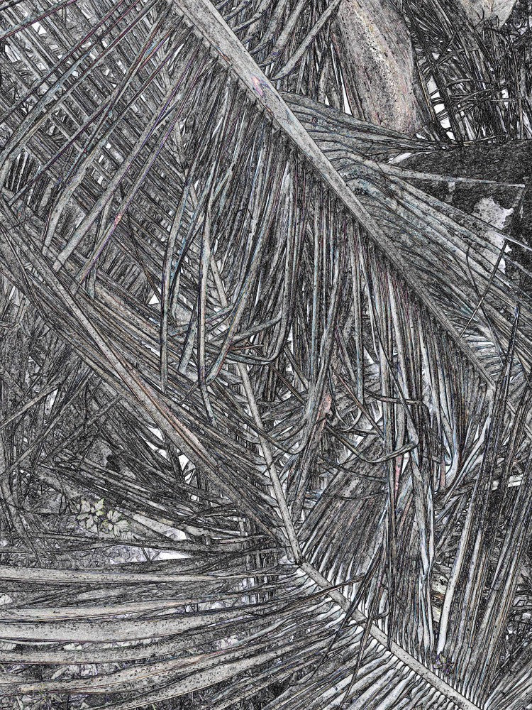 Entangled Essence