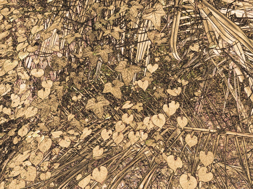 Golden Leaves Nest