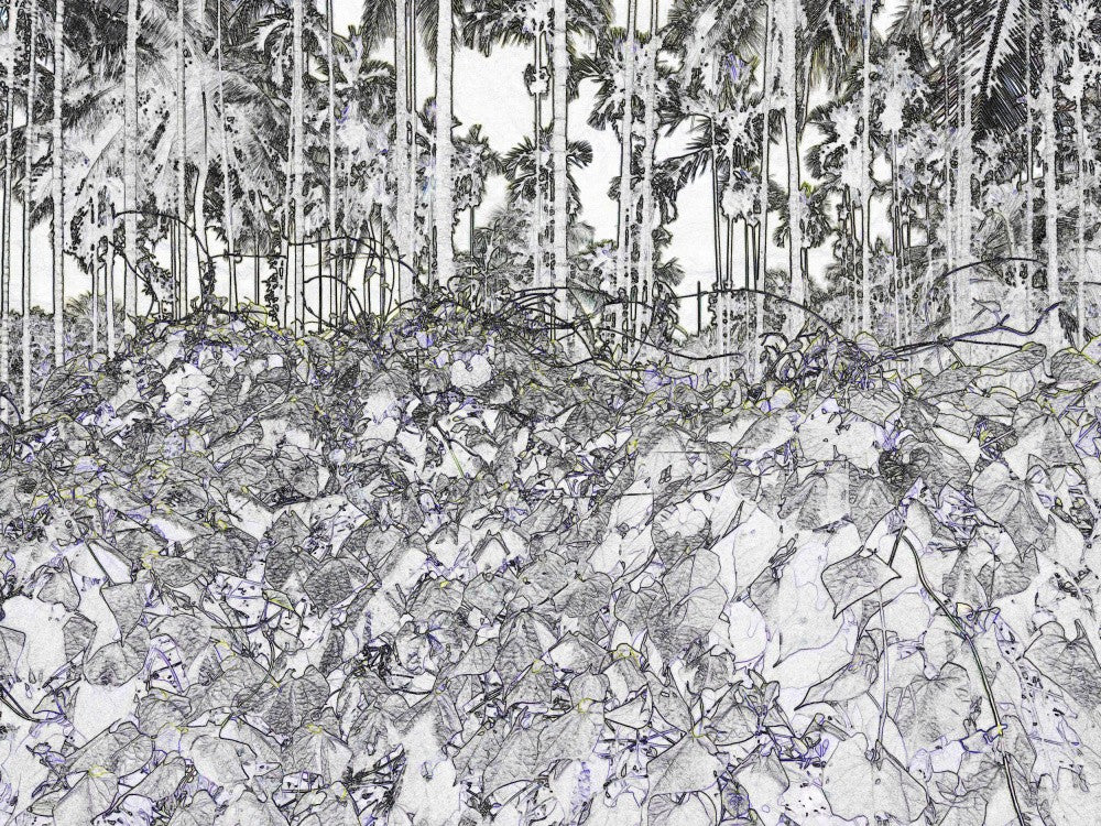 Jungle Whispers