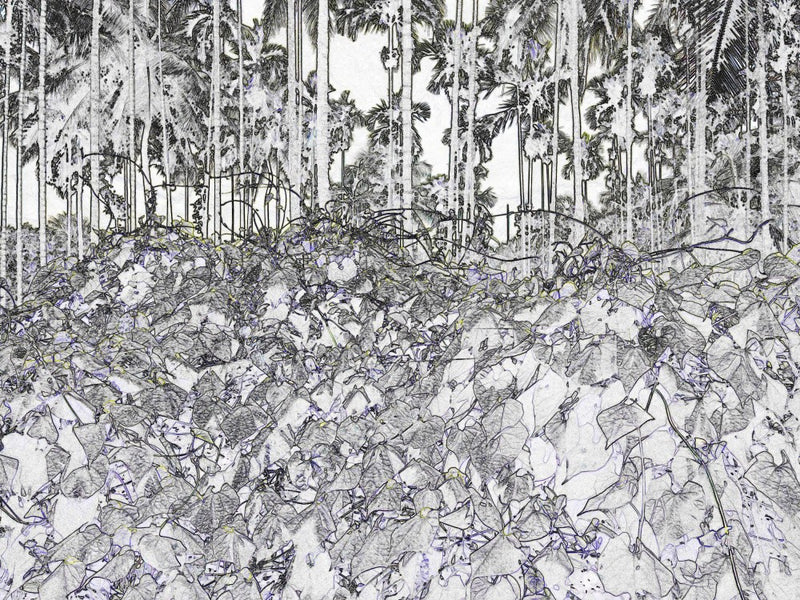 Jungle Whispers