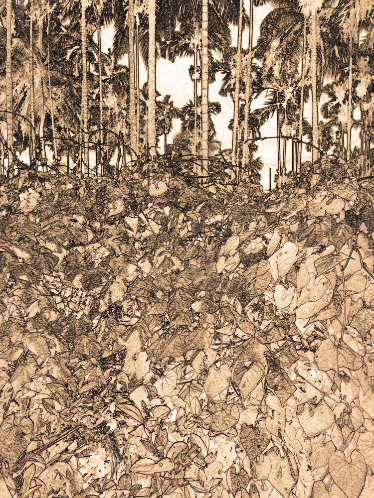 Jungle Whispers