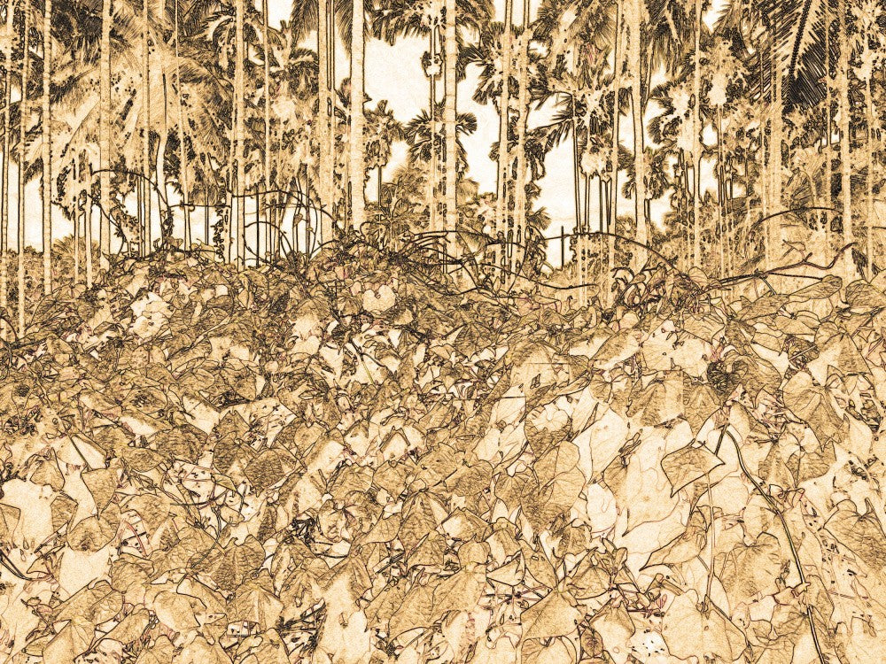 Jungle Tangle