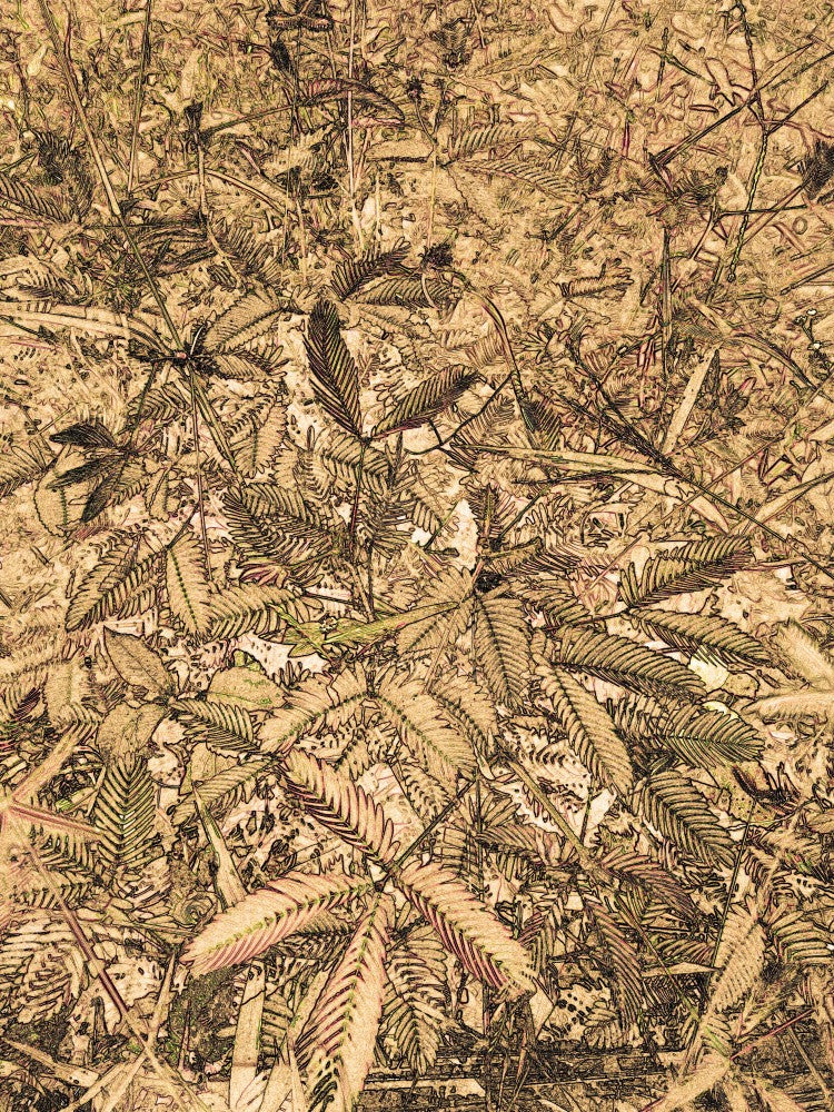 Leafy Whispers