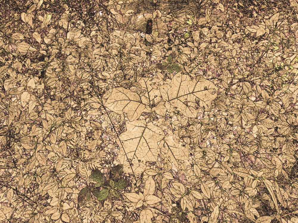 Fallen Leaves Mosaic