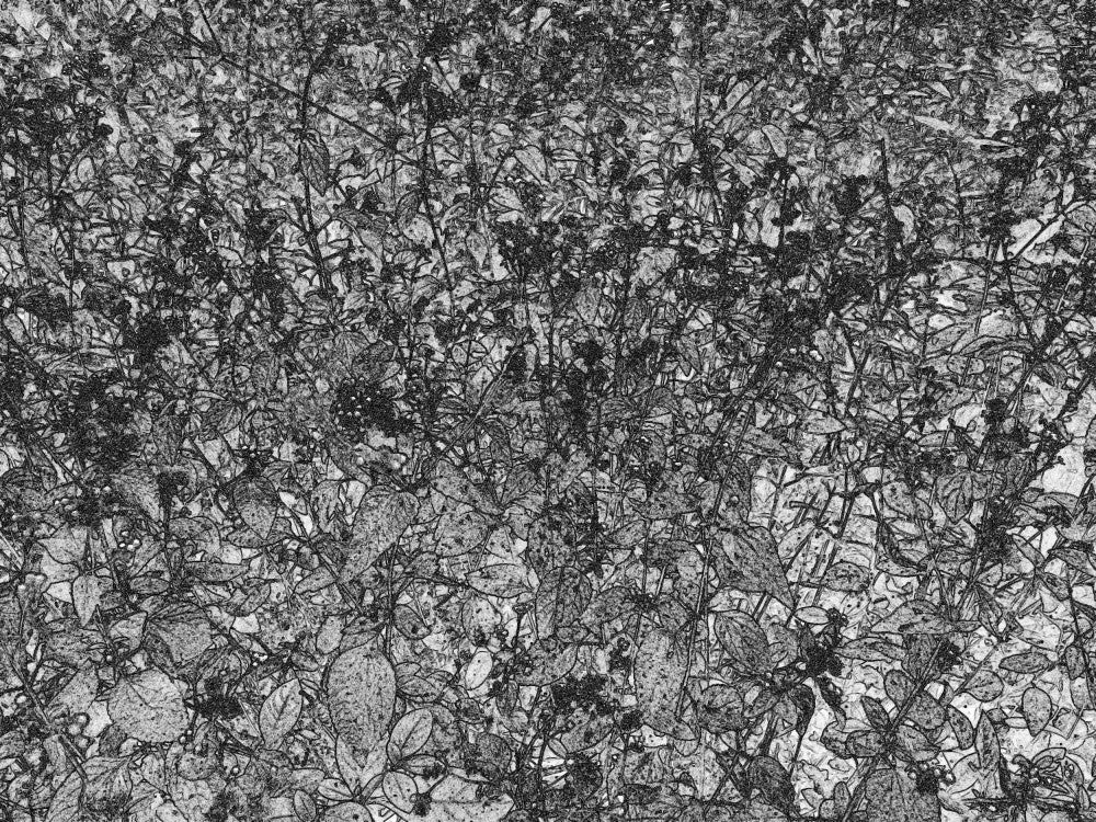 Dense Flora Pattern