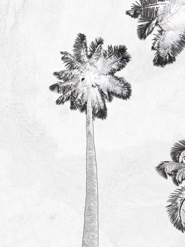 Tropical Silhouettes