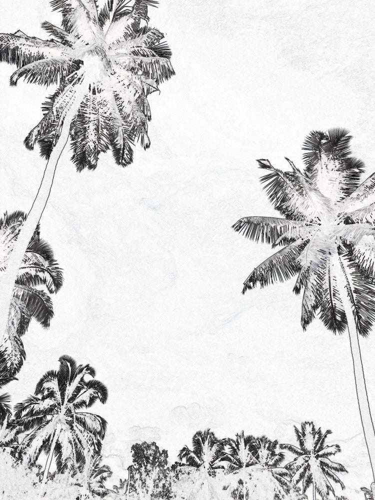 Palm Dreamscape