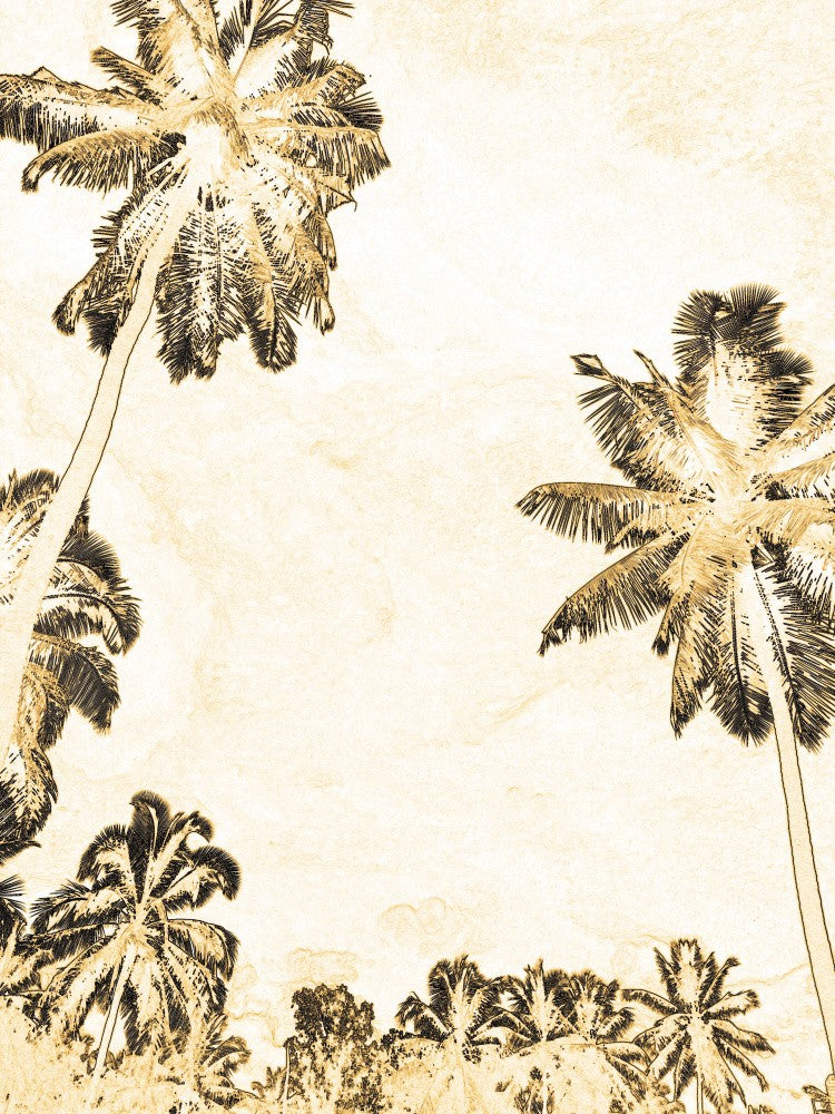 Golden Palm Skies