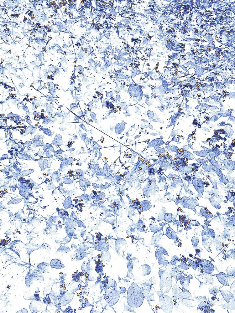 Nature's Blue Whisper