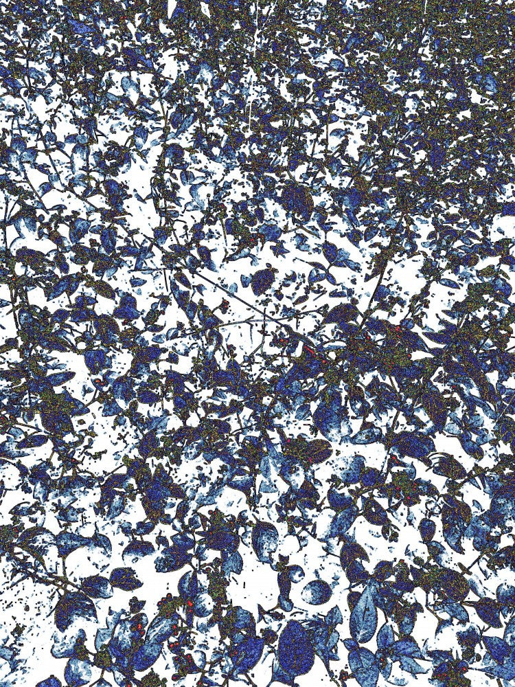 Ethereal Foliage