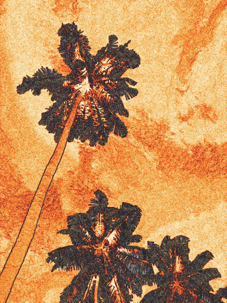 Tropical Silhouettes
