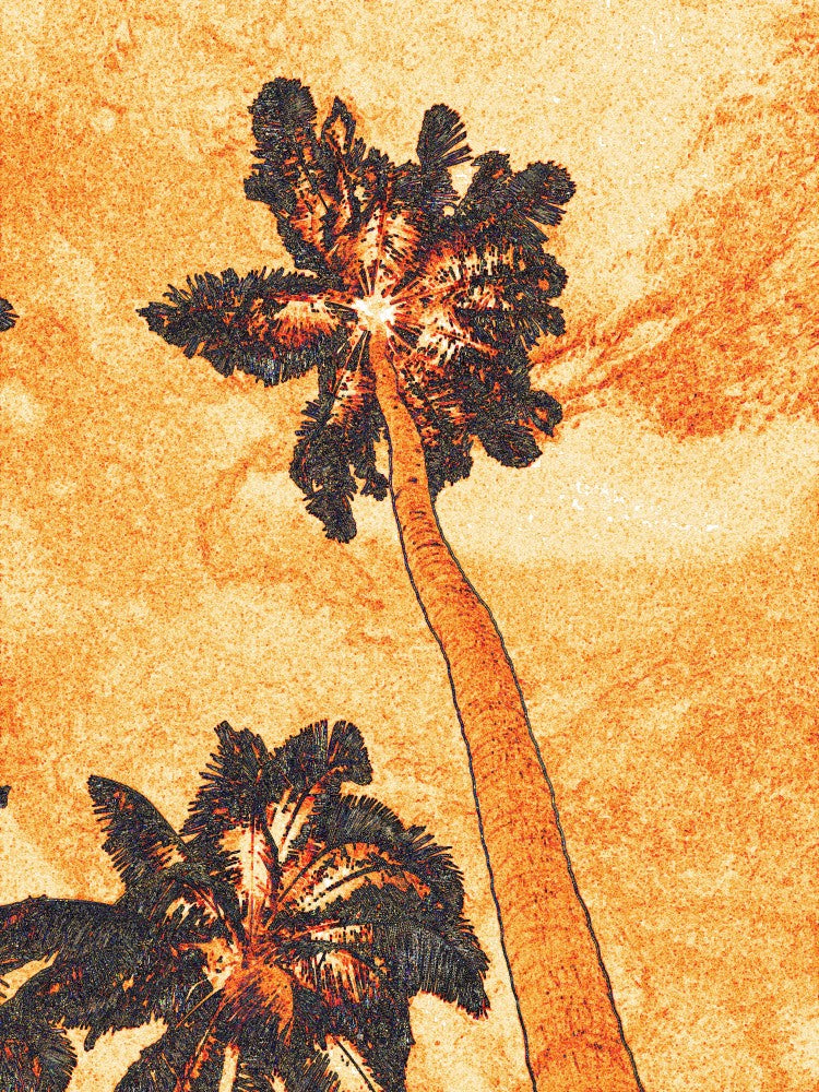 Golden Palm Dream