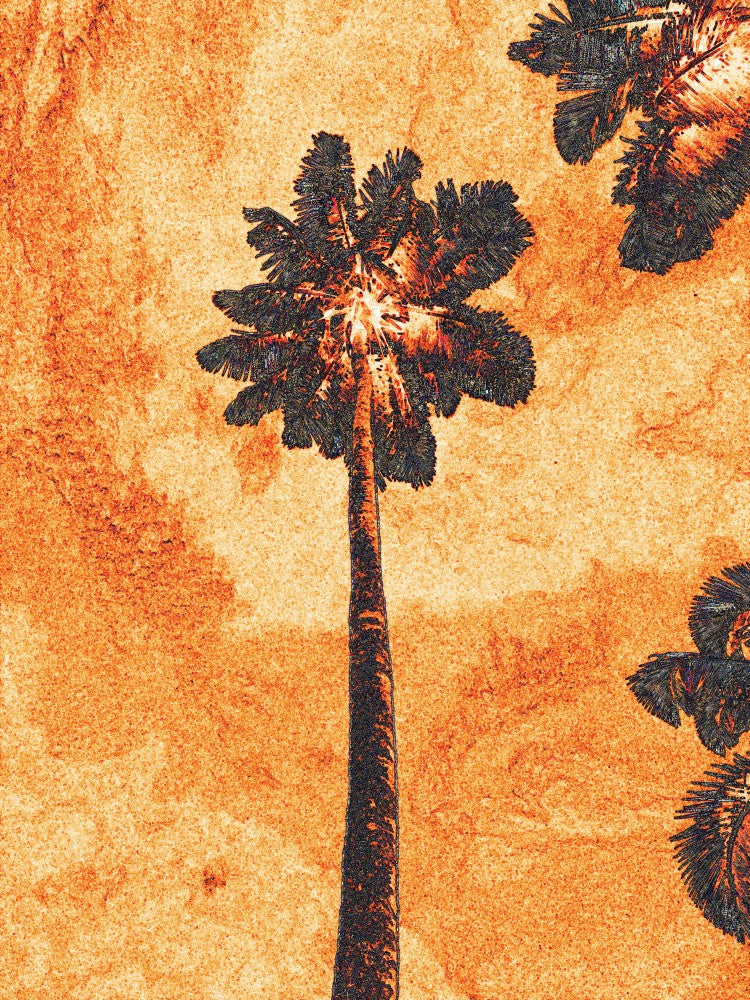 Fiery Palmscape
