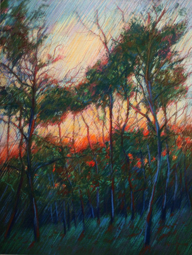 Hatertse Vennen (Hatert Meres) 09 (2014)