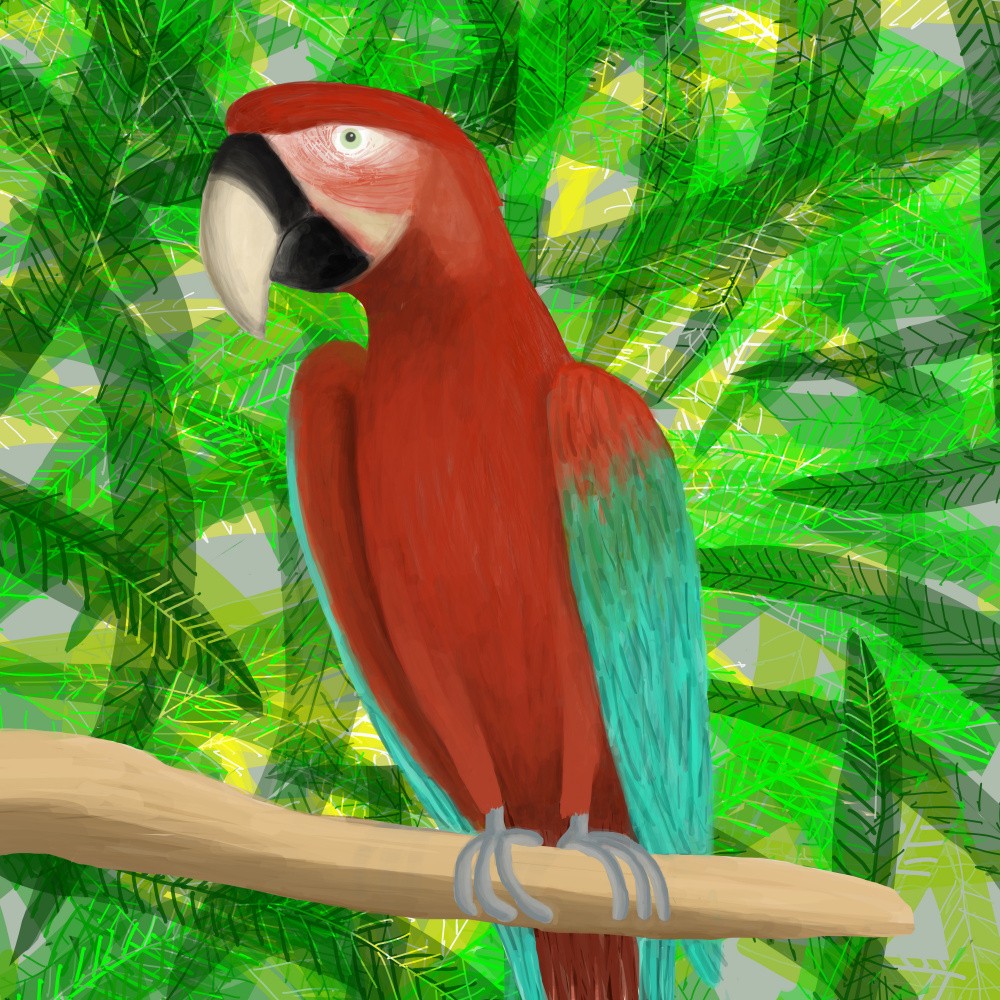 Jungle Parrot Illustrated by Artist Carla Daly