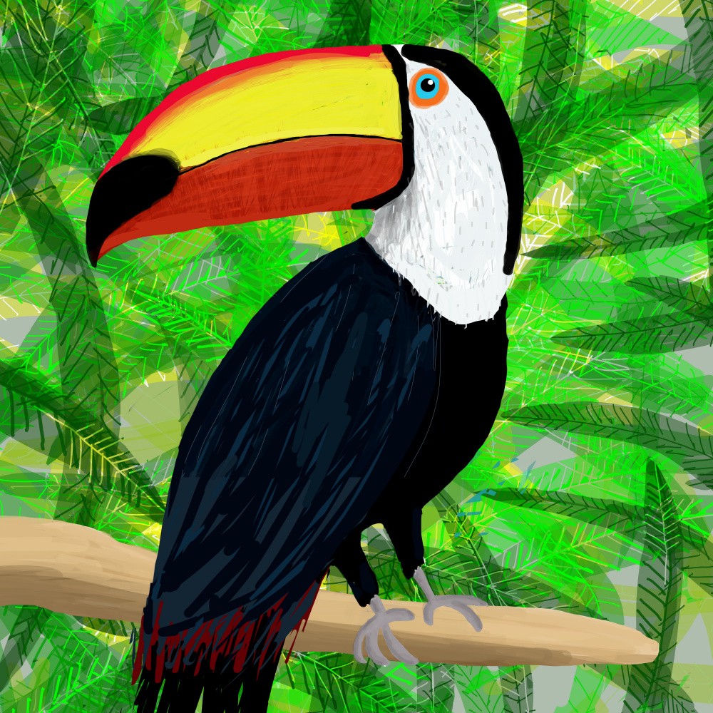 Tukan Tropischer Vogel von Künstlerin Carla Daly