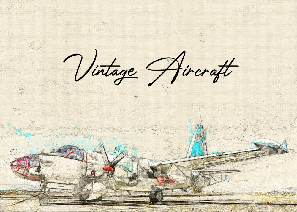 vintage aircraft
