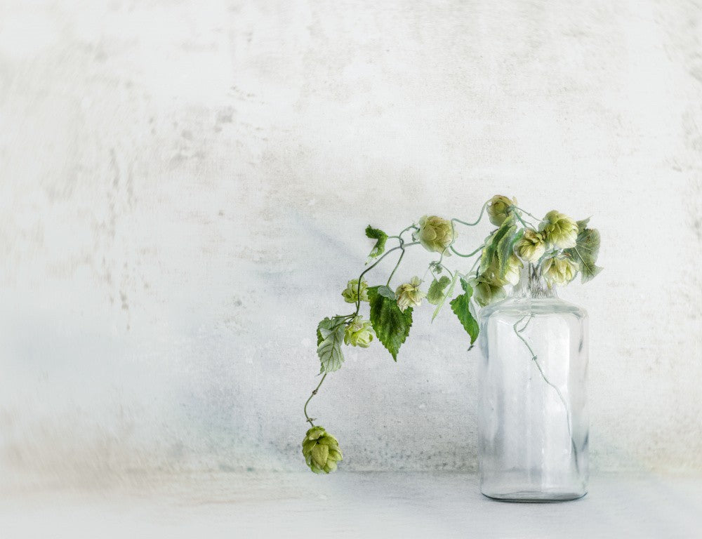 Green Hop