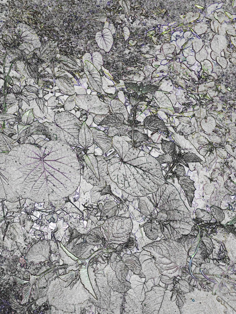 Intricate Foliage