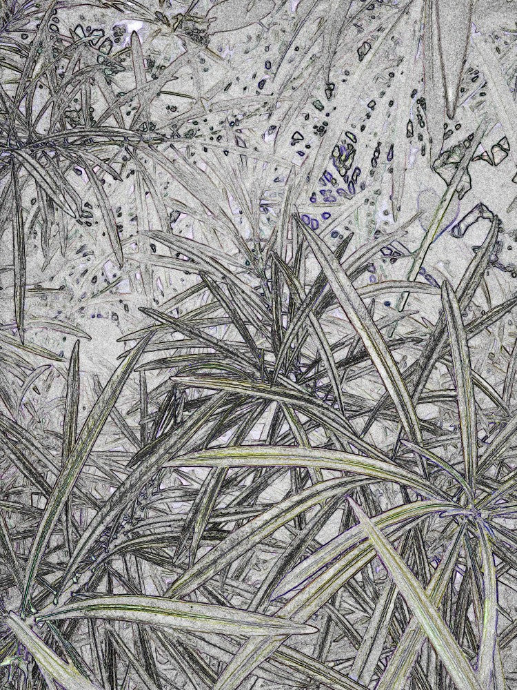 Whispers of Foliage