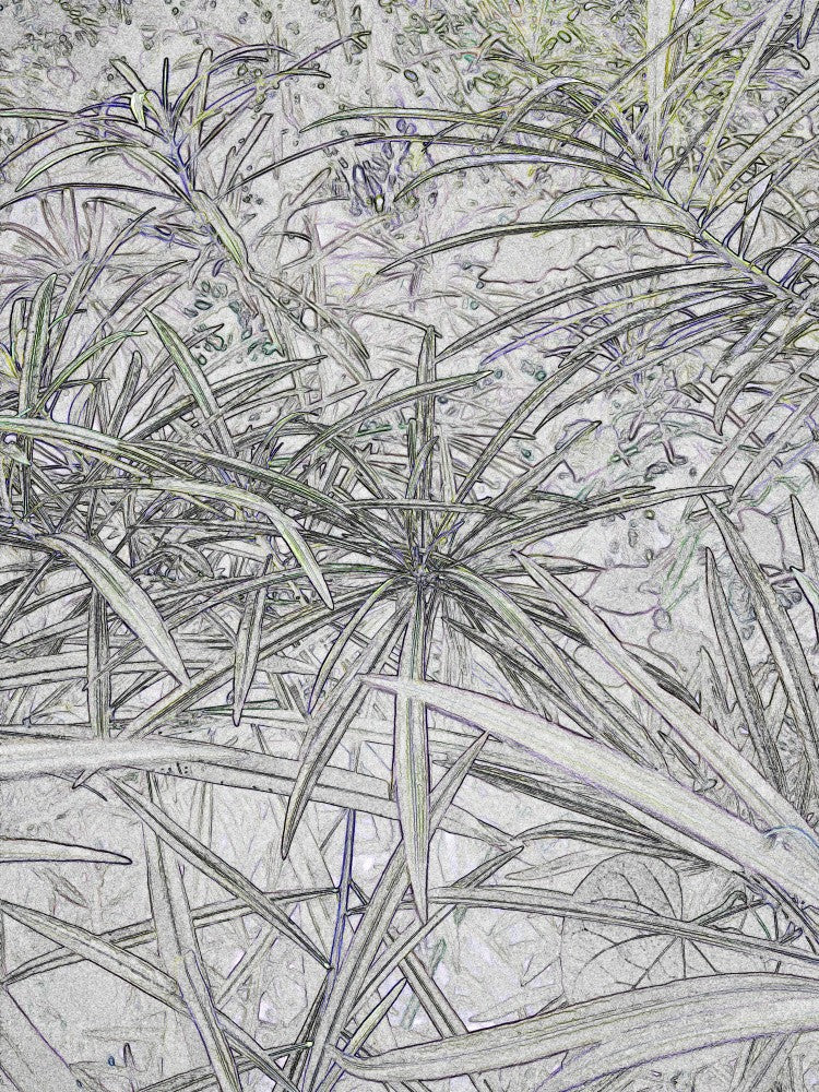 Tangled Greenery