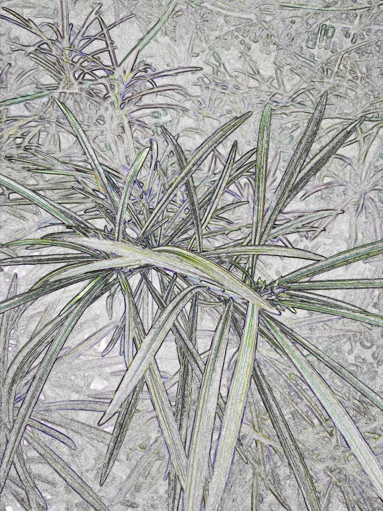 Leaves in Motion