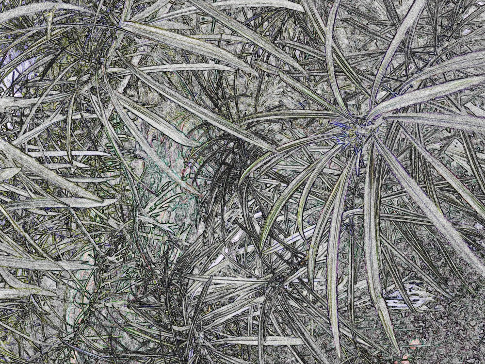 Leafy Maze Dreamscape