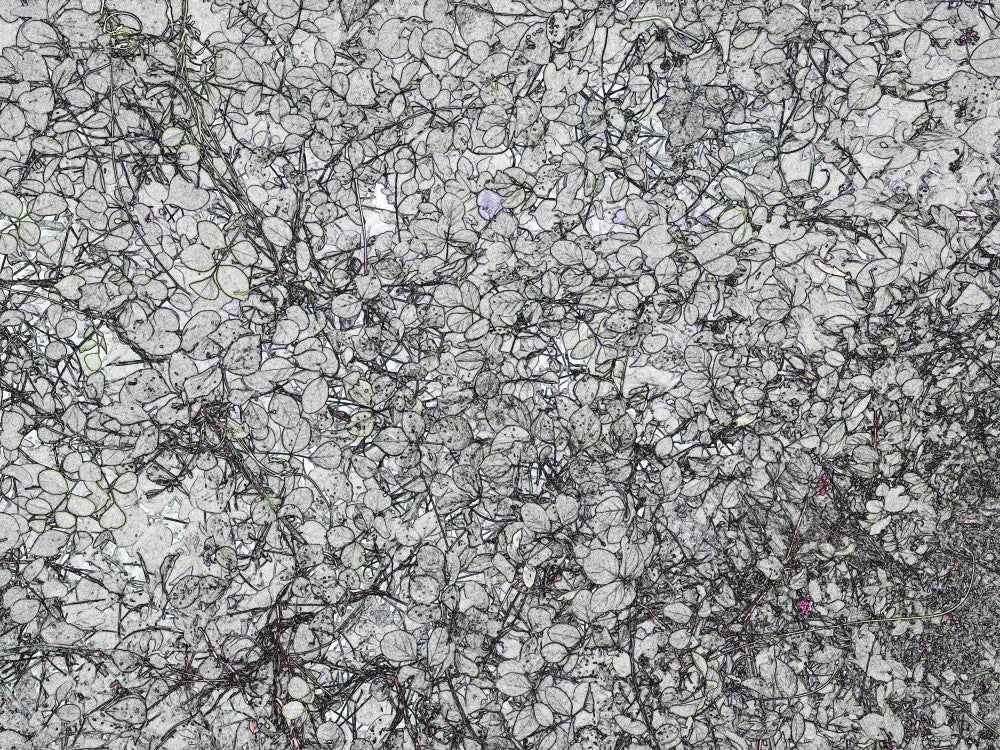 Nature's Tapestry