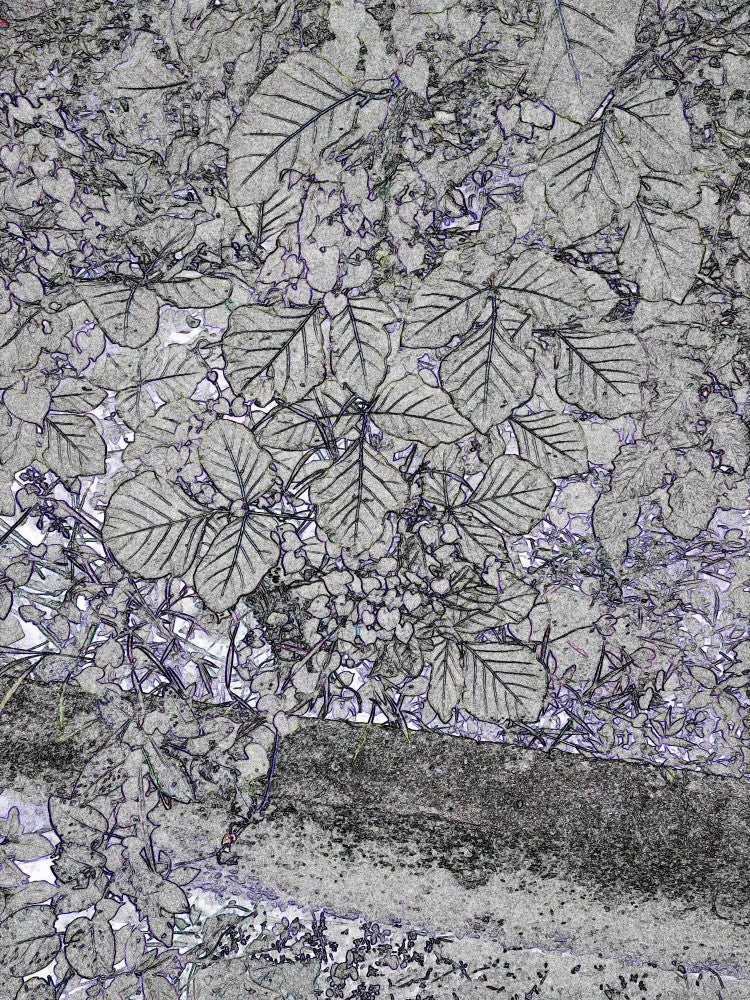 Leafy Stone Fusion