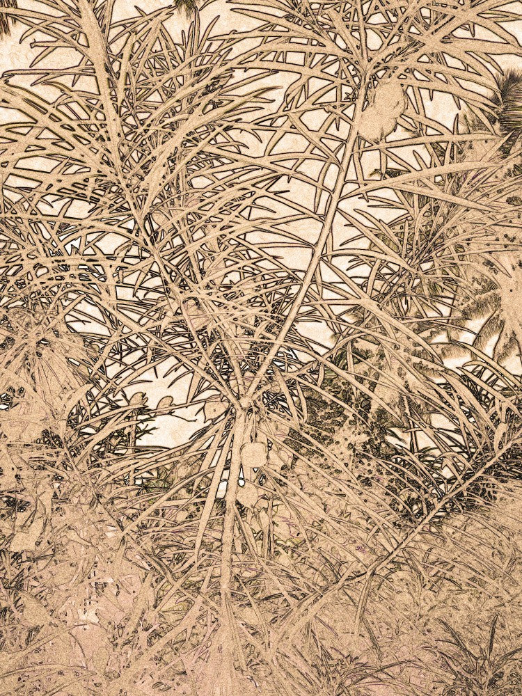 Whispering Palms
