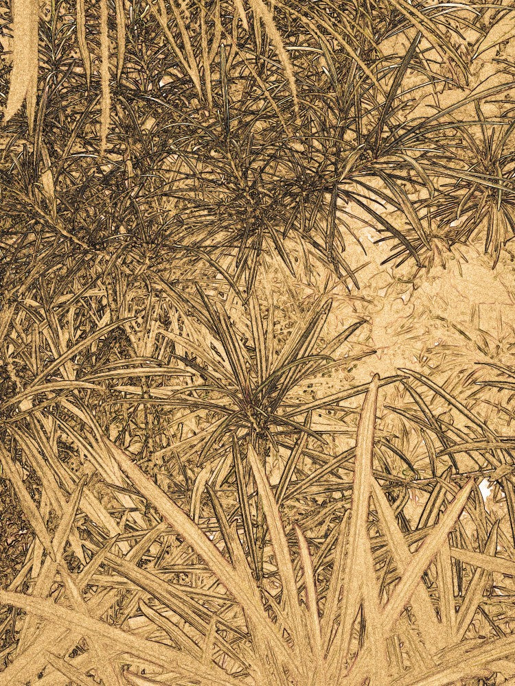 Golden Jungle Maze