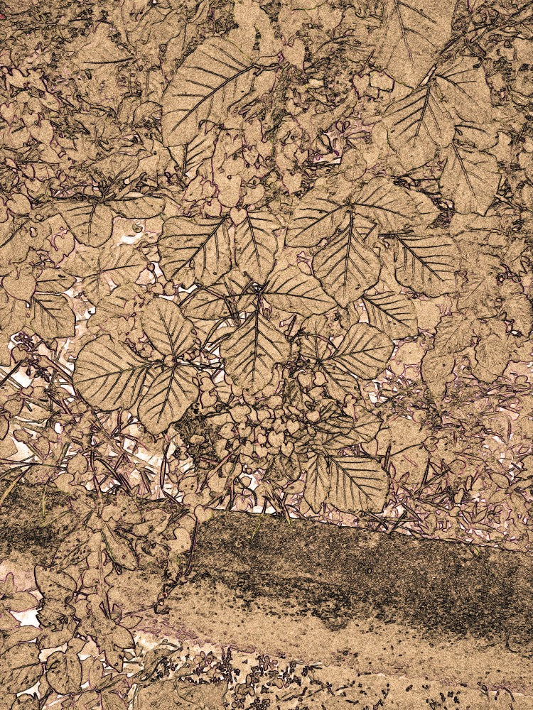 Rustic Leaf Mosaic