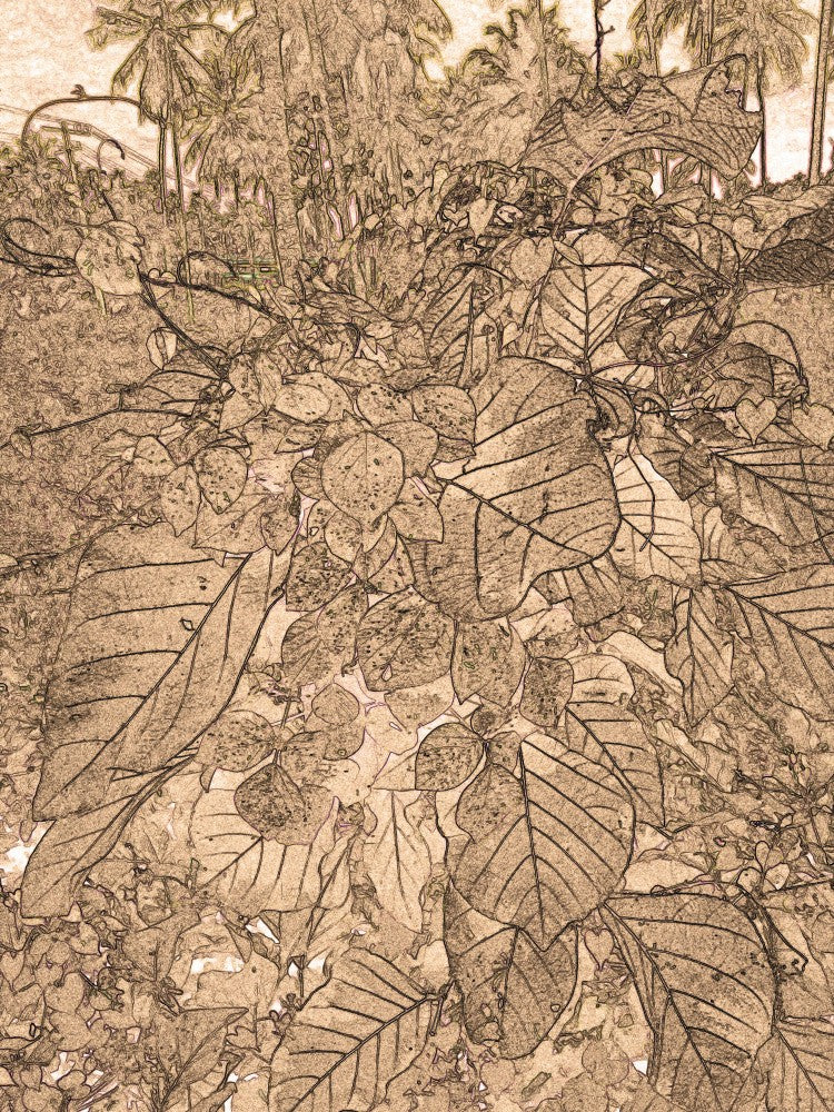 Verdant Sketch