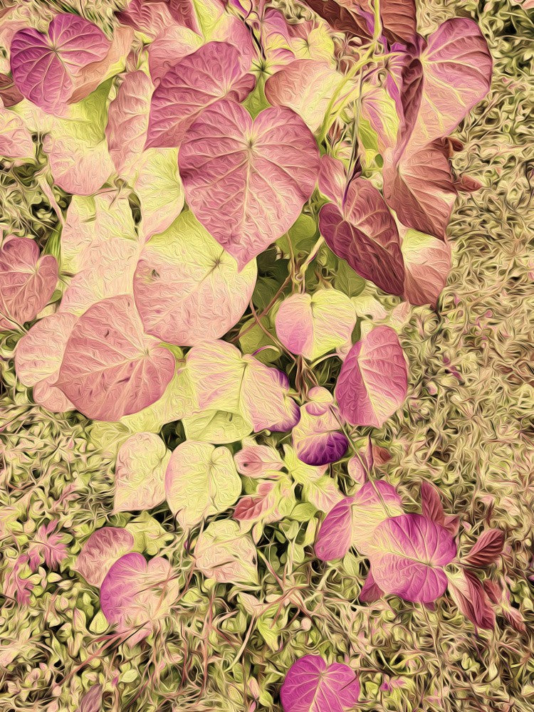 Whimsical Leavescape