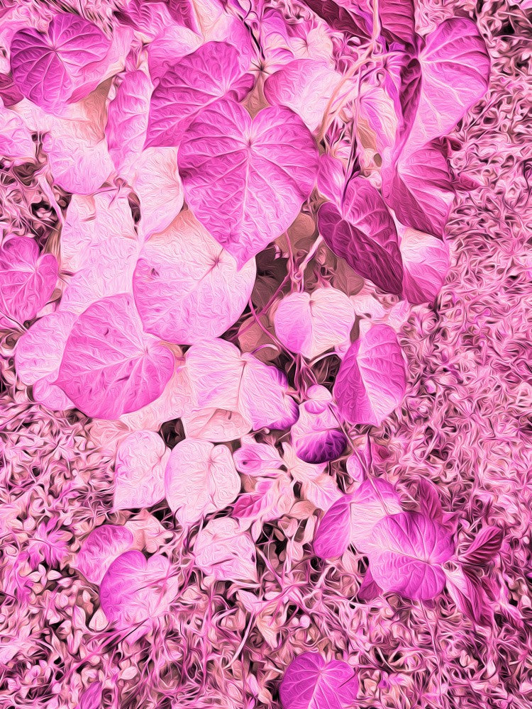 Petal Cascade