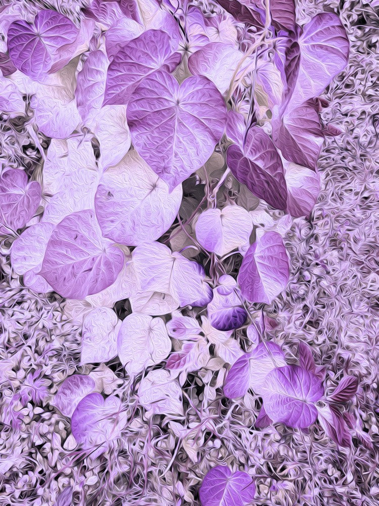 Lilac Whispers