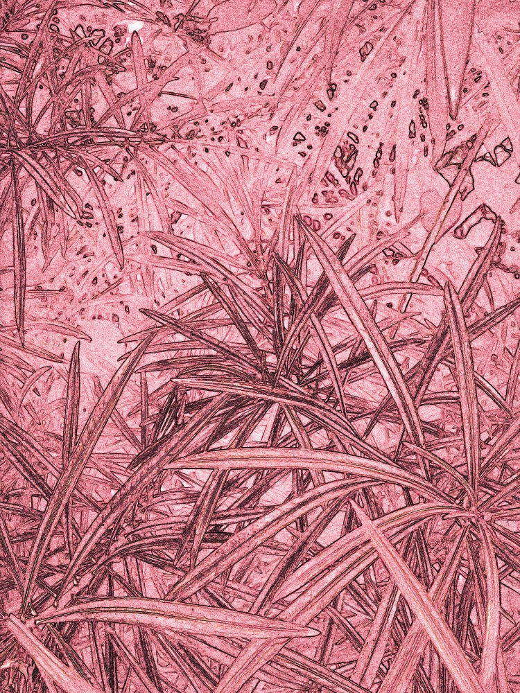 Crimson Leaves
