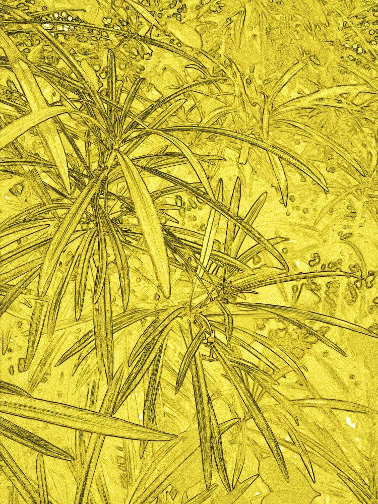 Golden Leaf Dreams