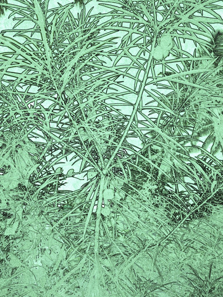 Verdant Dreams