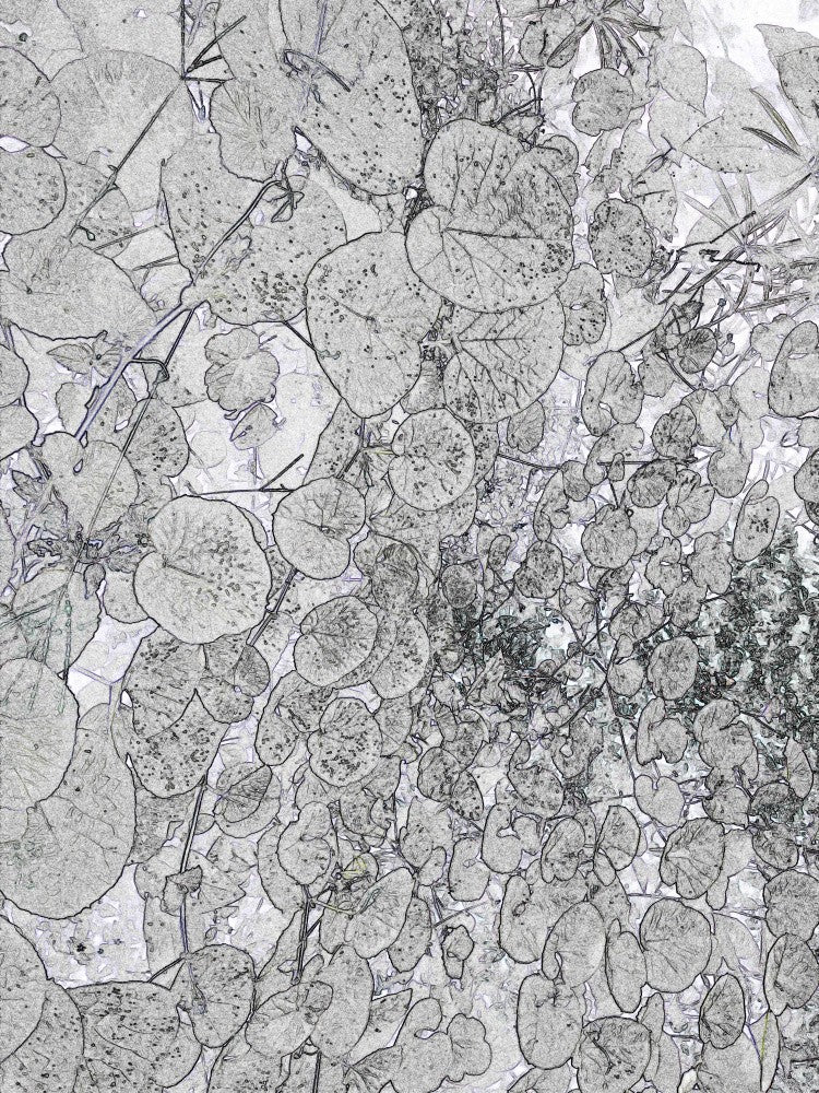 Leaves in Frosty Lace