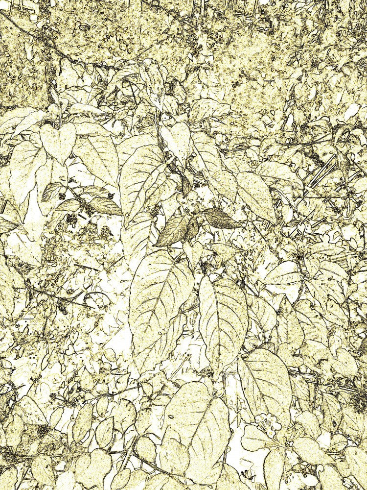 Golden Leaf Maze