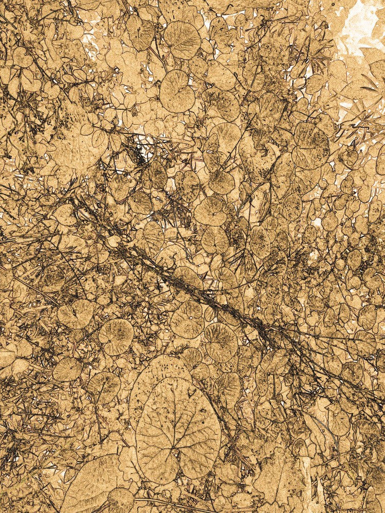 Golden Leaf Tapestry