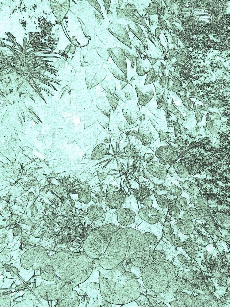 Verdant Whispers
