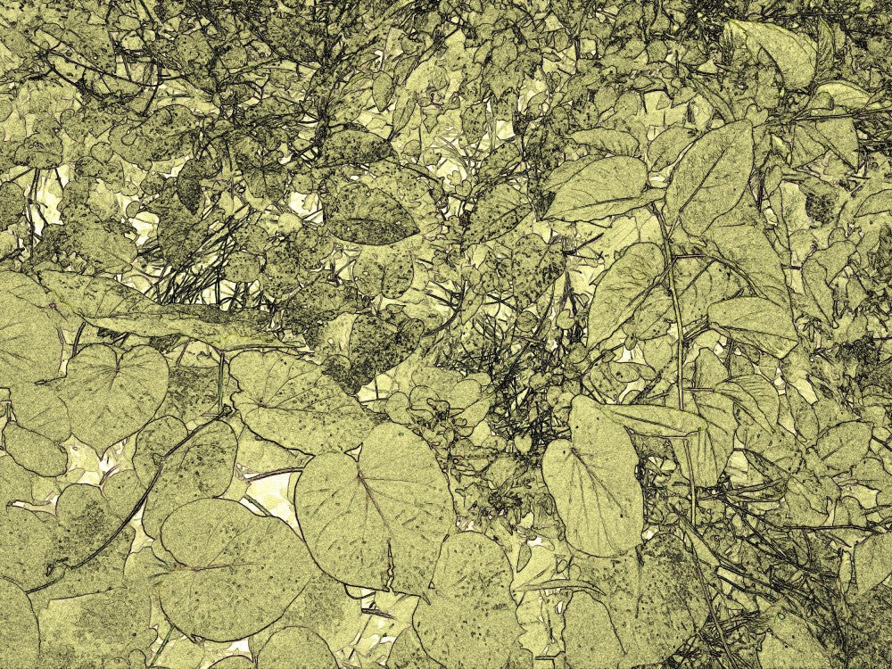 Leafy Labyrinth