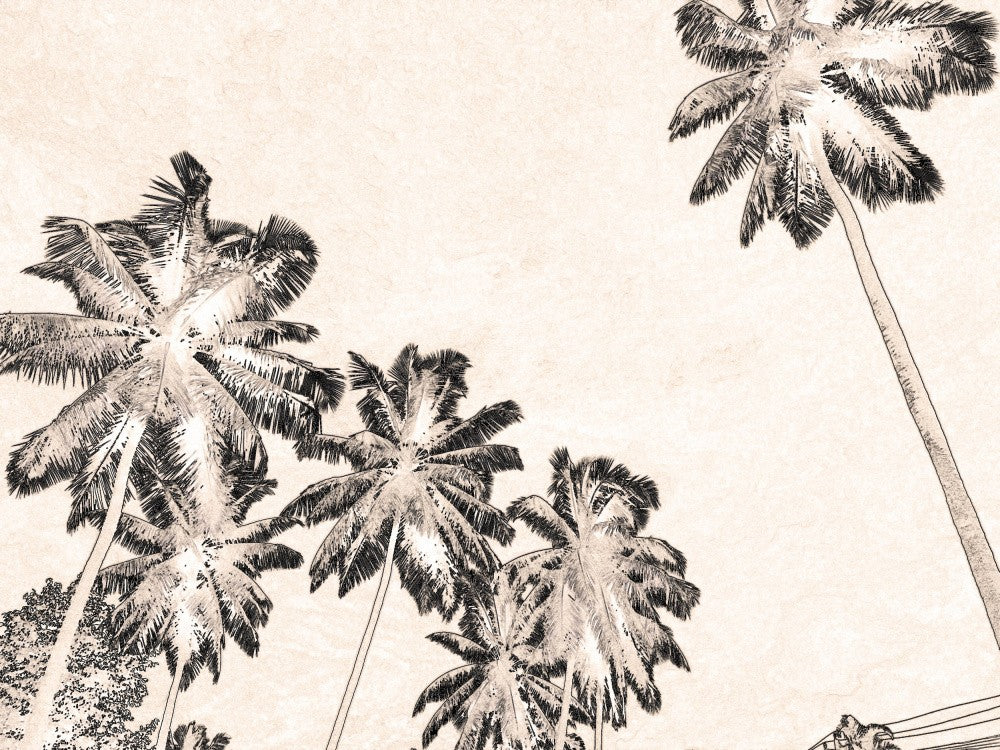 Tropical Silhouettes