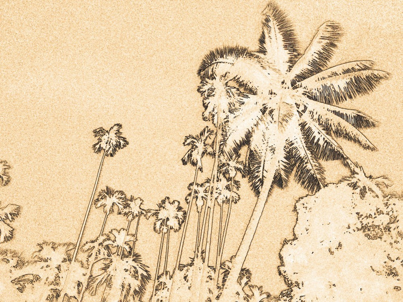 Palms in the Breeze